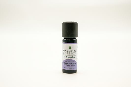 Menta piperita - Mentha per piperita